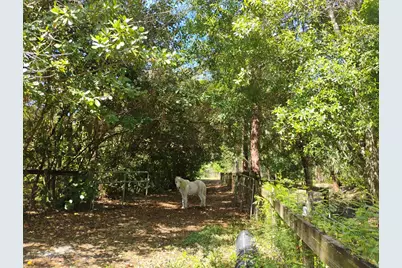 15531 42nd Road N, Loxahatchee Groves, FL 33470 - Photo 12