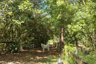 15531 42nd Rd N, Loxahatchee Groves, FL 33470 - Photo 12