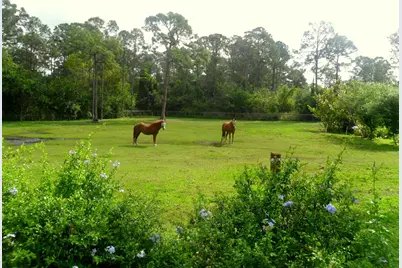 15531 42nd Road N, Loxahatchee Groves, FL 33470 - Photo 42