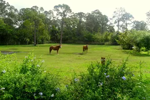 15531 42nd Rd N, Loxahatchee Groves, FL 33470 - Photo 42