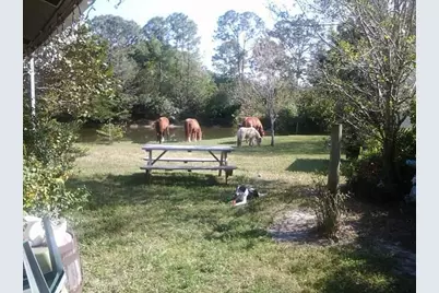 15531 42nd Road N, Loxahatchee Groves, FL 33470 - Photo 38