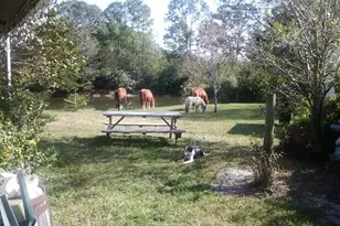15531 42nd Rd N, Loxahatchee Groves, FL 33470 - Photo 38