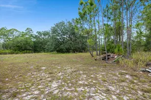 18925 Sr-60, Lake Wales, FL 33898 - Photo 30
