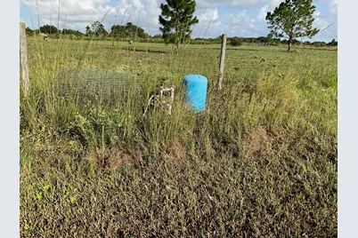 17229 NW 314th Street, Okeechobee, FL 34972 - Photo 6