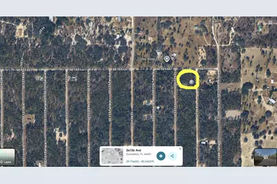 0 SE 136 Avenue, Morriston, FL 32668 - Photo 4