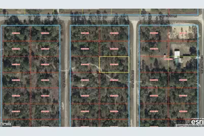 0 SE 136 Avenue, Morriston, FL 32668 - Photo 2