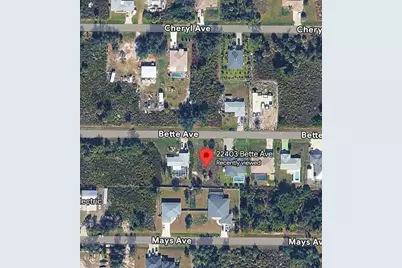 22403 Bette Avenue, Port Charlotte, FL 33954 - Photo 2