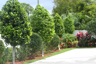 5730 Vista Linda Ln, Boca Raton, FL 33433 - Photo 14
