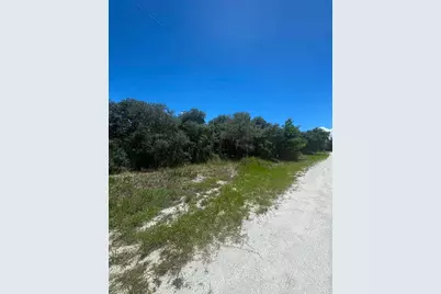 2530 N Todd Road, Avon Park, FL 33825 - Photo 4