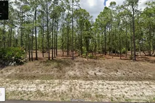1215 Canton Ave, Lehigh Acres, FL 33972 - Photo 1