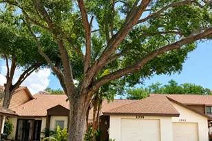 1914 Bayshore Ct, Safety Harbor, FL 34695 - Photo 1