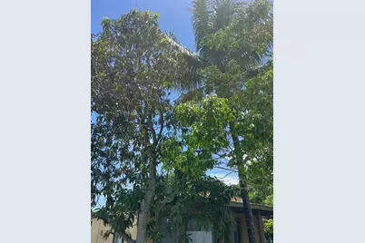 4100 SW 28th Street, West Park, FL 33023 - Photo 14