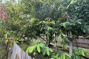 320 W 29th St, Riviera Beach, FL 33404 - Photo 22