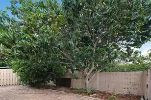 23 Chelsea Ln, Boynton Beach, FL 33426 - Photo 24