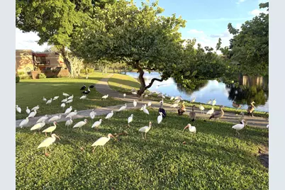 8255 Severn Drive #D, Boca Raton, FL 33433 - Photo 22
