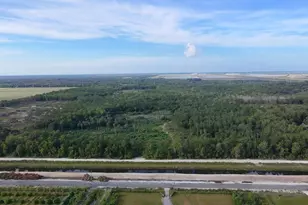 20365 Marie Ct, Loxahatchee, FL 33470 - Photo 50
