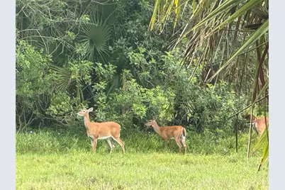 0 Co Rd 832, Clewiston, FL 33440 - Photo 28