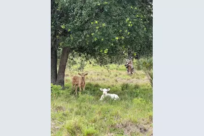 0 Co Rd 832, Clewiston, FL 33440 - Photo 2