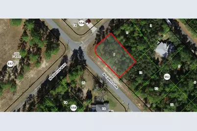 9239 N Marcus Way, Citrus Springs, FL 34433 - Photo 2