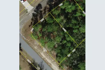 9239 N Marcus Way, Dunnellon, FL 34433 - Photo 1