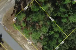 9239 N Marcus Way, Dunnellon, FL 34433 - Photo 1