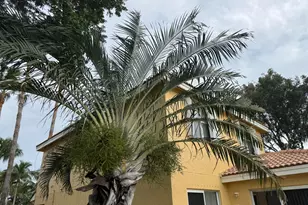 3472 Commodore Ct, West Palm Beach, FL 33411 - Photo 26