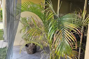 8294 NW 24th St, Coral Springs, FL 33065 - Photo 18