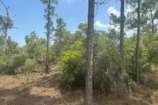 387 Marionette Ave, Lake Placid, FL 33852 - Photo 1