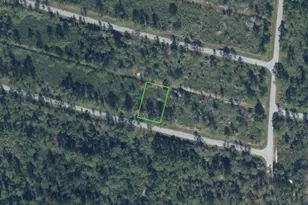 8604 Sanada St, Sebring, FL 33872 - Photo 1