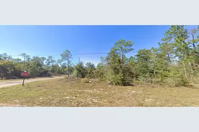9999 Merrick Drive, Chipley, FL 32428 - Photo 1