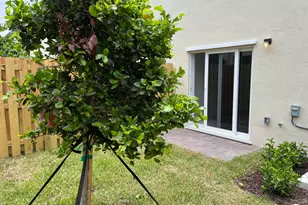 2624 SE 25th, Homestead, FL 33035 - Photo 26