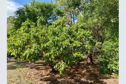 12216 184th Court N, Jupiter, FL 33478 - Photo 46
