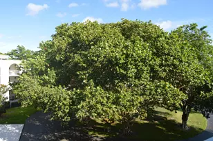 775 Jeffery St, Boca Raton, FL 33487 - Photo 28
