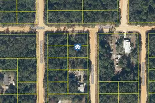 Lot 30 David Ave, Interlachen, FL 32148 - Photo 1