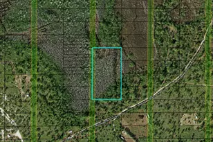 0 Holopaw Groves Rd, Saint Cloud, FL 34772 - Photo 1