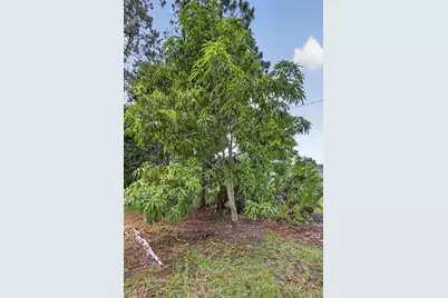 16571 78th Road N, The Acreage, FL 33470 - Photo 60