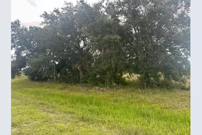 0 NW 313th Street NW, Okeechobee, FL 34972 - Photo 2