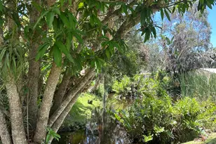 450 28th Ct, Vero Beach, FL 32968 - Photo 26