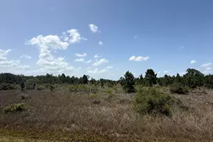 15463 NW 306th St, Okeechobee, FL 34972 - Photo 1
