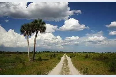 20862 NW 262nd Street, Okeechobee, FL 34972 - Photo 6