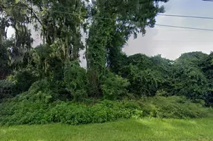 266 Toms Rd, Debary, FL 32713 - Photo 1