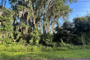 262 Toms Rd, Debary, FL 32713 - Photo 1