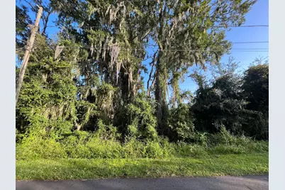 262 Toms Road, Debary, FL 32713 - Photo 2