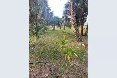 15148 NW 288th Street, Okeechobee, FL 34972 - Photo 32