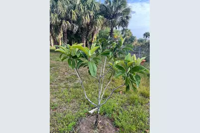 15148 NW 288th Street, Okeechobee, FL 34972 - Photo 34