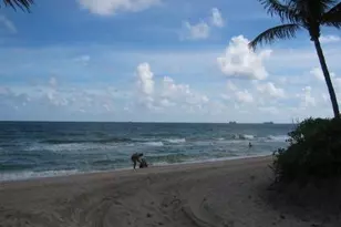 2841 N Ocean Blvd, Fort Lauderdale, FL 33308 - Photo 66