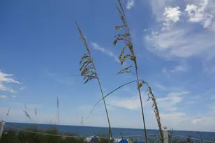 1903 Robalo Dr, Vero Beach, FL 32960 - Photo 26