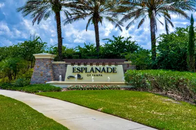 8433 Alberata Vista Drive, Tampa, FL 33647 - Photo 80