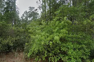 107 Glenside St, Georgetown, FL 32139 - Photo 1