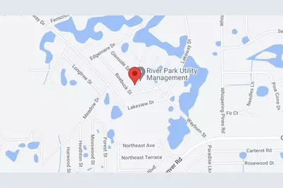 105 Glenside Street, Georgetown, FL 32139 - Photo 4
